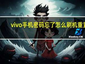 vivo手机密码忘了怎么刷机重置（vivo手机密码忘了怎么刷机）