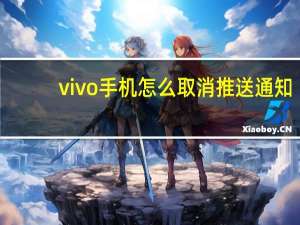 vivo手机怎么取消推送通知（vivo手机怎样关闭推送通知）