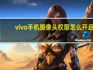 vivo手机摄像头权限怎么开启