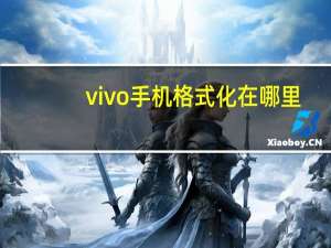 vivo手机格式化在哪里