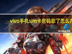 vivo手机sim卡密码忘了怎么办（sim卡密码忘了怎么办）