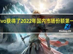 vivo获得了2022年国内市场份额第一的成绩