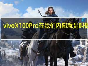 vivoX100Pro在我们内部就是叫做Pro+