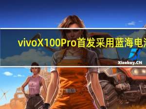 vivoX100Pro首发采用蓝海电池