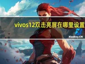 vivos12双击亮屏在哪里设置-vivos12双击亮屏的设置方法