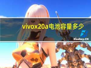 vivox20a电池容量多少