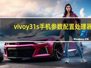 vivoy31s手机参数配置处理器（华为y310s(华为y310s处理器)）