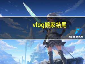 vlog搬家结尾