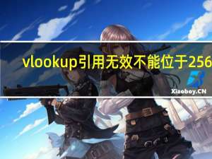 vlookup引用无效不能位于256列（vlookup无效引用位于256列怎么解决）