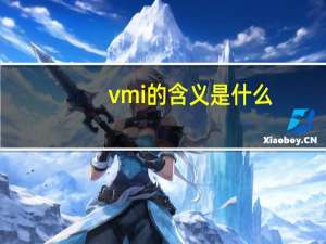 vmi的含义是什么（vmi是什么意思）
