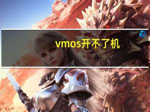 vmos开不了机