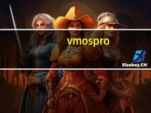 vmos pro（vm）