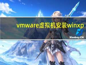 vmware虚拟机安装winxp（vmware虚拟机安装失败）
