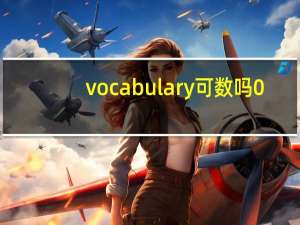 vocabulary可数吗0