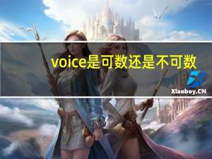 voice是可数还是不可数