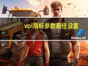 vol指标参数最佳设置