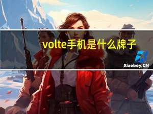 volte手机是什么牌子