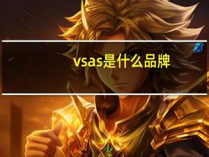 vsas是什么品牌