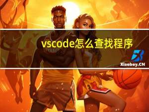 vscode怎么查找程序