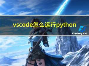 vscode怎么运行python（vscode怎么运行python）