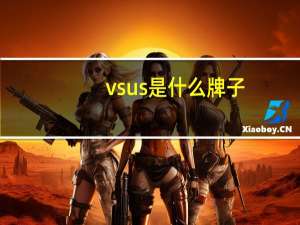 vsus是什么牌子