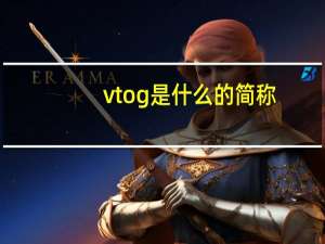 vtog是什么的简称