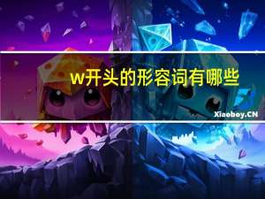 w开头的形容词有哪些