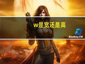 w是宽还是高