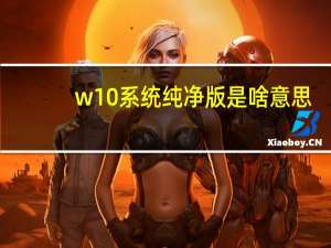 w10系统纯净版是啥意思（w10系统纯净版）