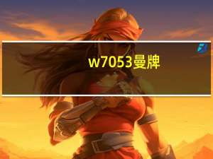 w7053曼牌（w705）