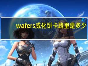 wafers 威化饼卡路里是多少