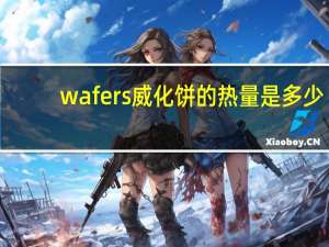 wafers 威化饼的热量是多少