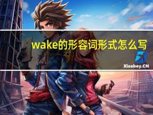 wake的形容词形式怎么写