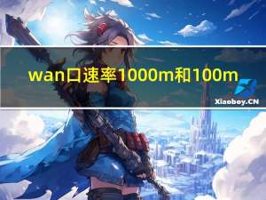 wan口速率1000m和100m（wan口速率）
