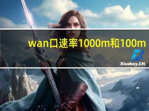 wan口速率1000m和100m（wan口速率）