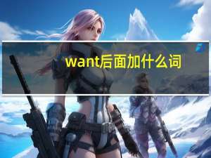 want后面加什么词