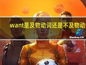 want是及物动词还是不及物动词