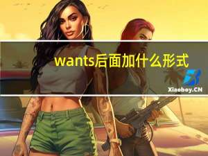 wants后面加什么形式