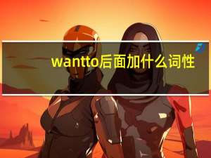 wantto后面加什么词性