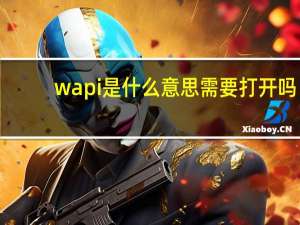 wapi是什么意思需要打开吗（wapi是什么）