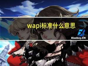 wapi标准什么意思（wapi是什么意思）