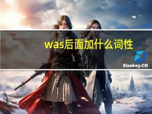 was后面加什么词性
