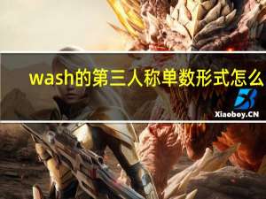 wash的第三人称单数形式怎么写