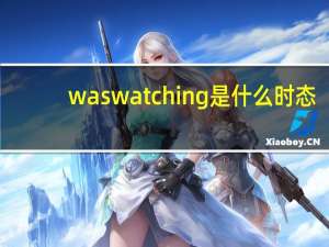 was watching是什么时态