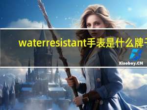 waterresistant手表是什么牌子（waterresistant）