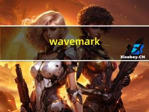 wave mark（WaveMaker简介）