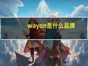 wayon是什么品牌