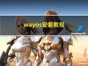 wayos安装教程（wayos安装）