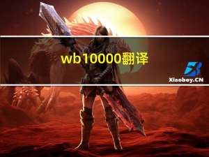 wb10000 翻译（wb1000）