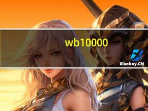 wb10000（wb1000）